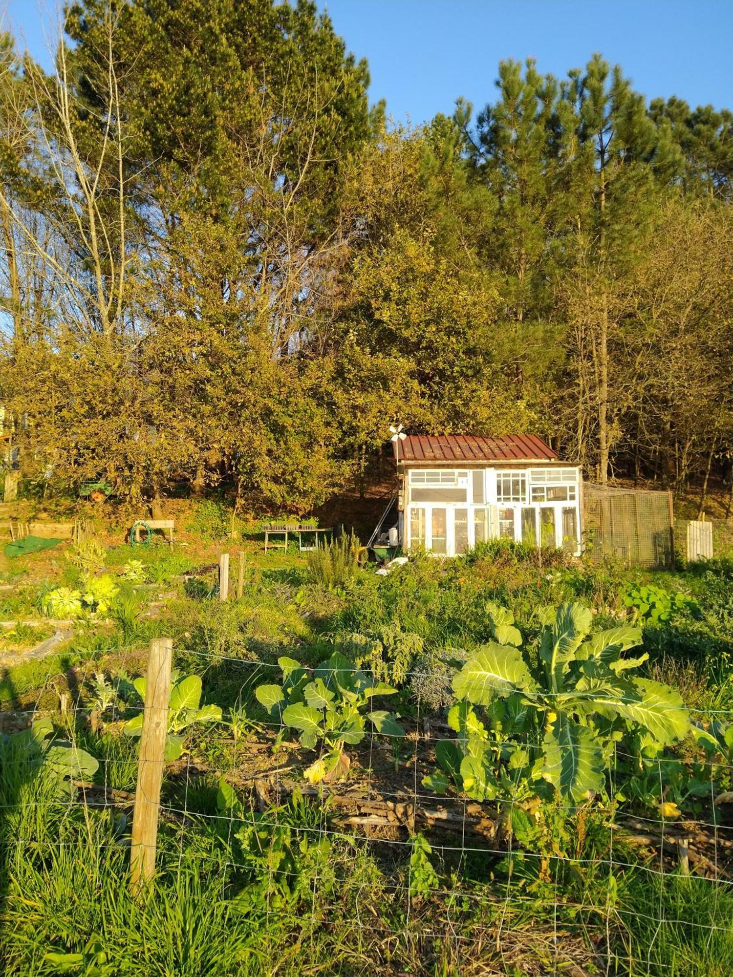 Associacao Quinta Das Relvas Branca エクステリア 写真