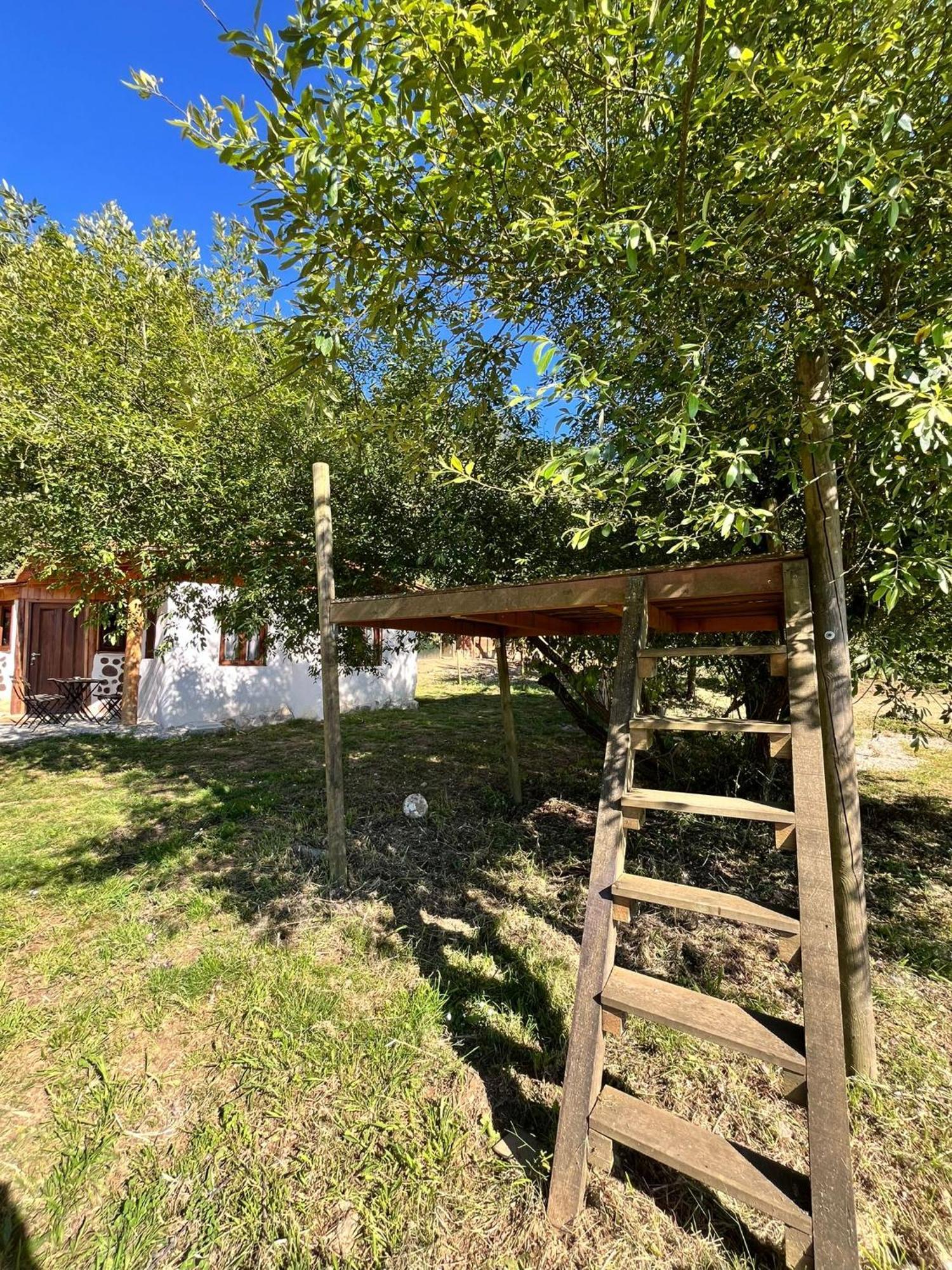 Associacao Quinta Das Relvas Branca エクステリア 写真